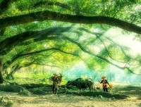 故乡的村落，伴随春的旋律
