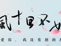 春风十里，不如你在学习——个人专业成长月总结