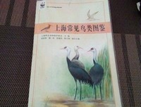 《图鉴中国》的影评大全