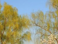 你不努力，谁也给不了你想要的生活的读后感大全
