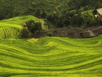 夫别可边的句子