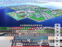 实力至上经典的句子