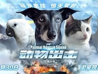 《动物出击》经典观后感有感