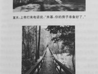 臣服實驗读后感摘抄