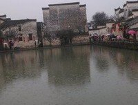 《一个聪明的投资者》读后感100字