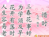 关于不子发的格言
