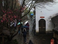清明时节，有一种思念叫心痛