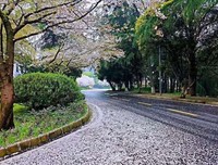 “闲”会使你累