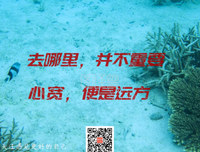 欣赏的句子