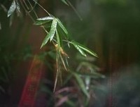 天不渡人，人需自渡！