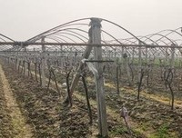 老人劝戴口罩被打死，打人者16年前曾杀害女友：忽视这