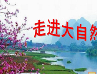 《无限接近自然》读后感摘抄