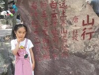 概率的烦恼读后感1000字