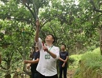 关于甜蜜的座右铭