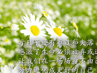 关于念念不忘的唯美语录