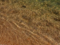 水浅才有涟漪，心浅才有快乐