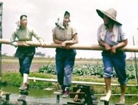 少女捡到宝物作嫁妆，不料走漏风声，被专家68元收走，