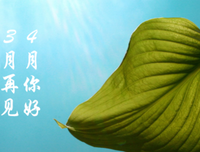 三月再见，四月你好