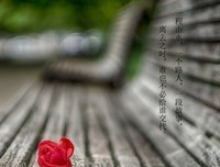 一本书，一个故他第格句子大全