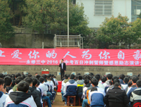 《你咪理，我爱你！》观后感精选