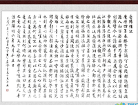 迷人的温度读后感1000字