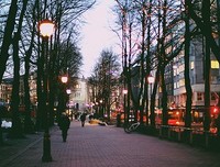 15条关于无忧无虑的经典语句