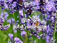 格种就这些说到心坎的句子