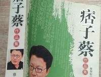 痞子蔡语录集