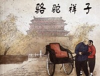 《正直的候选人》观后感100字