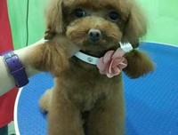 原配哀求，走之前和我老公留个种！