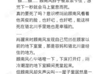 南风过境优美的句子