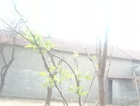 随笔呀
