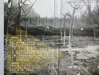 亲爱的弗洛伊德好词好句