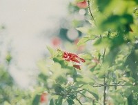 熙熙攘攘的句子