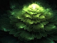 关于昙花一现的唯美语录