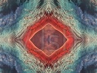 地球瘟灾的悲惨万花筒