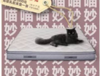 年轻人为什么宁愿养猫也不养娃