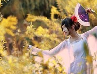 梦幽-梦句子