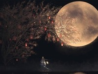 提灯映桃花读后感摘抄