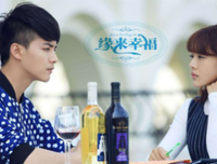 关于《欢乐颂2》的优美句子