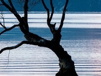 关于#039;==#039;的句子