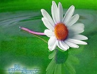 走年须多言句子大全