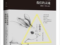 《鲁米：偷走睡眠的人》的读后感大全