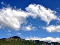 关于无影无踪的语句