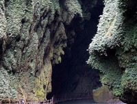 红瓦绿树碧海蓝天，春色如画八大峡