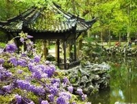 南浔，到底有多美