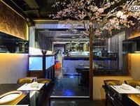 拾花酿春，饮一壶花枝春满