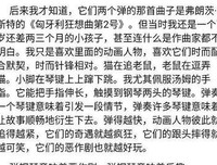  没有什么烦恼，是养一只猫解决不了的