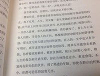 关于小橘子的句子