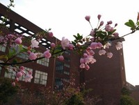 隐么才人成的优美句子